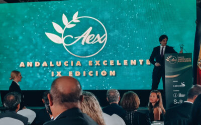 Recibimos el Premio Andalucía Excelente en la categoría de Construcción